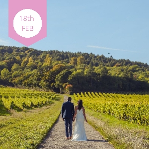 Denbies Wine Estate Wedding Show