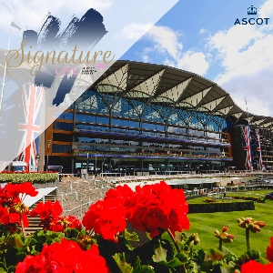 Signature Wedding Show at Ascot Racecourse