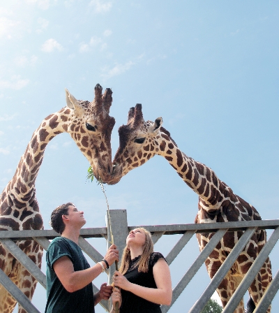 Win a Colchester Zoo Animal Experience