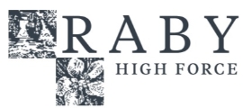 Visit the Raby High Force website in a new window