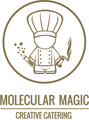 Visit the Molecular Magic Creative Catering website in a new window