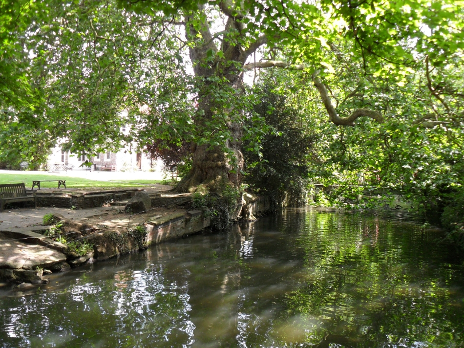 Image 7 from Ware Priory