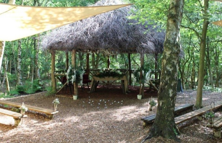 Gallery image 9: 