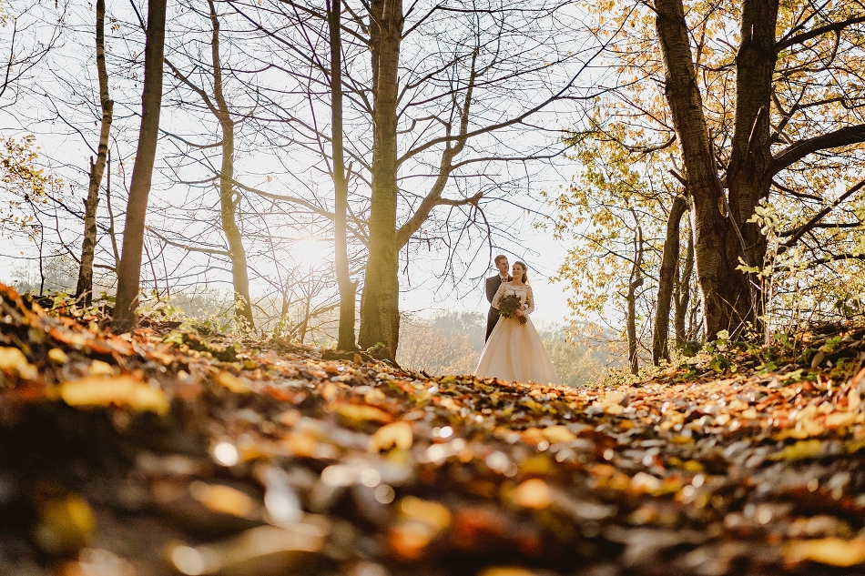 Image 1 from Crondon Park Wedding Venue