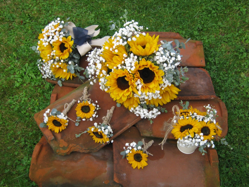 Gallery image 5: 