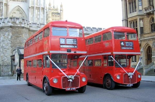 Gallery image 8: 