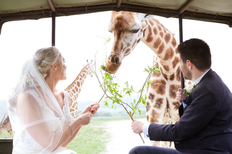 Image 16 from Port Lympne Hotel & Reserve