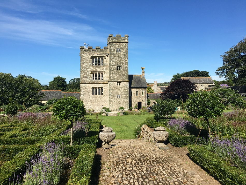 Image 6 from Pengersick Castle