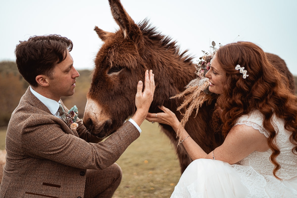 Image 3 from Blackwater Farm & Bridle and Groom