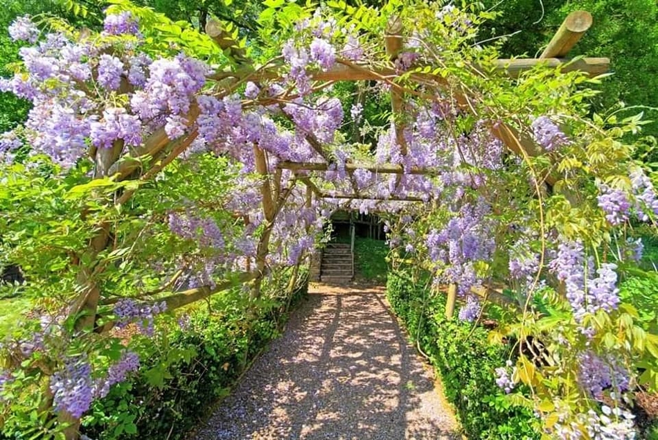 Image 5 from Bickleigh Castle