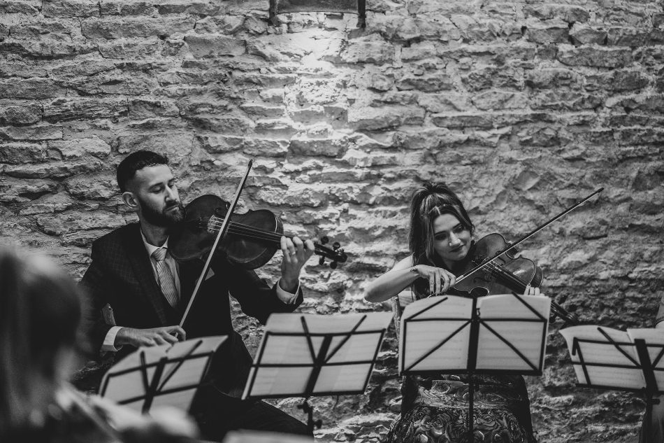 Image 7 from Harmony String Quartet