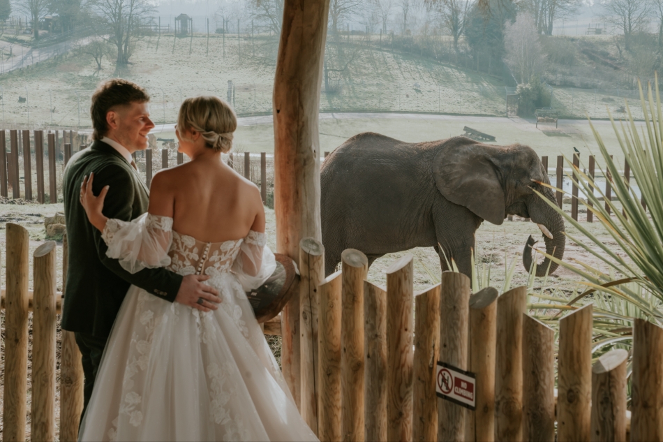 Image 15 from West Midlands Safari Park