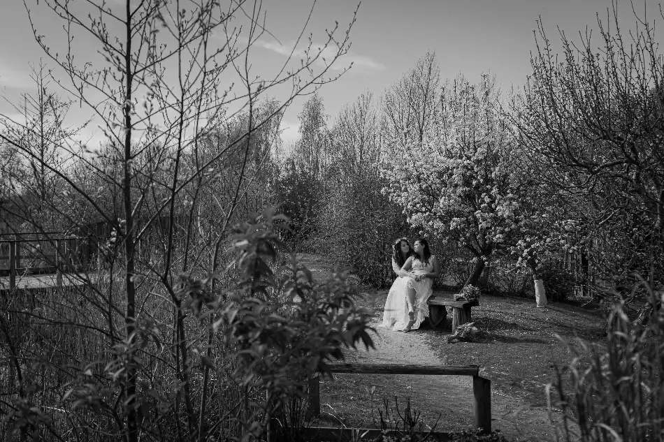 Gallery image 5: 