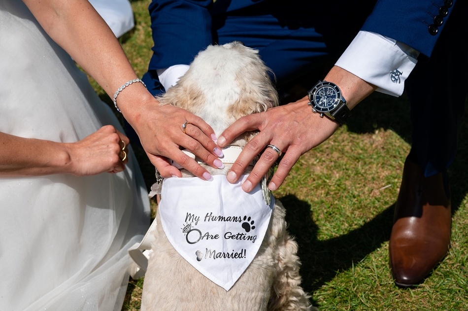 Image 4 from My Cornwall Wedding