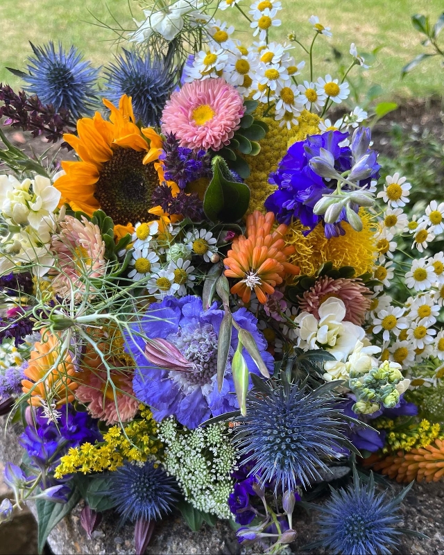Image 5 from By Arrangement