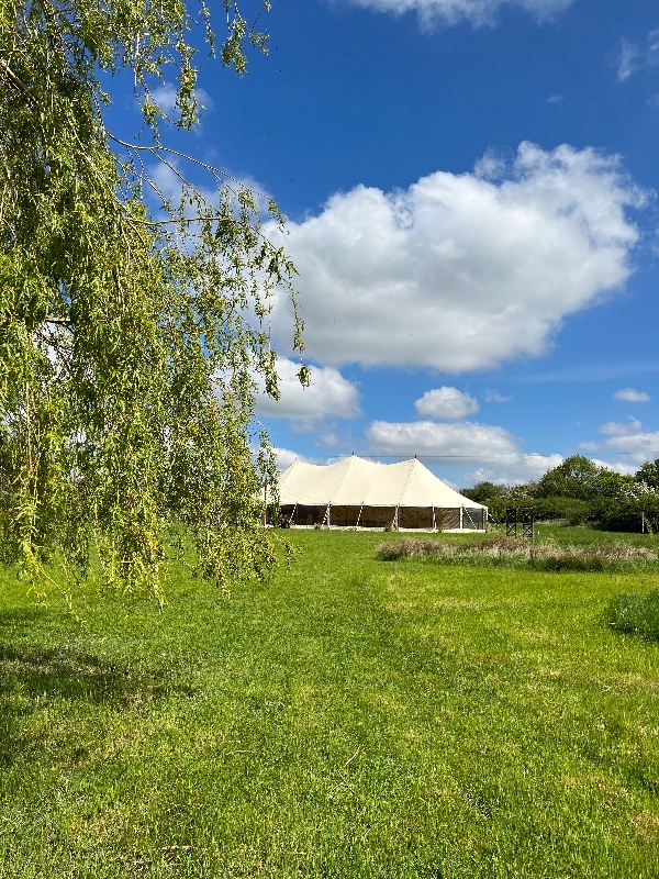 Image 20 from The Meadow Garden