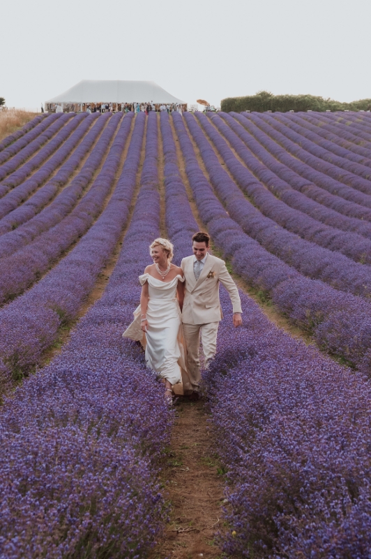 Image 5 from Lordington Lavender