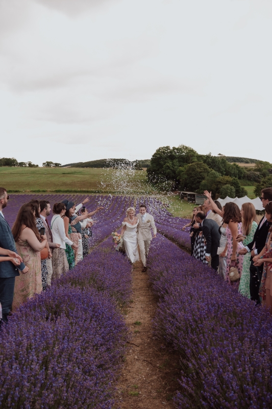 Image 7 from Lordington Lavender