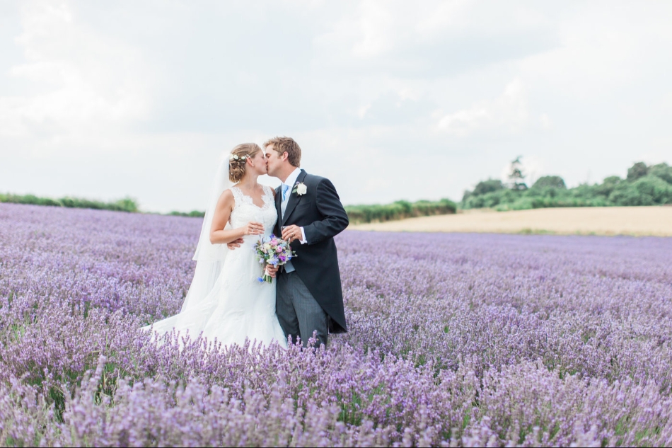 Image 12 from Lordington Lavender