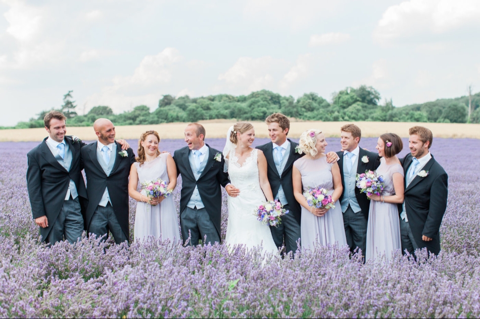 Image 16 from Lordington Lavender