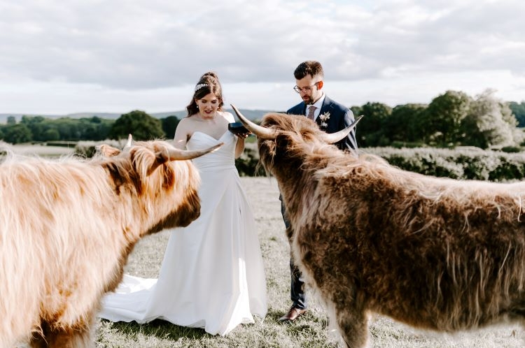 Image 12 from Southlands Barn