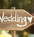 Thumbnail image 3 from Beau’s & Belle’s Event Planners