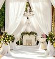 Thumbnail image 4 from Beau’s & Belle’s Event Planners