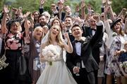 Thumbnail image 9 from Port Lympne Hotel & Reserve