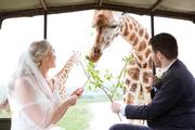 Thumbnail image 14 from Port Lympne Hotel & Reserve