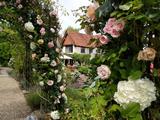 Thumbnail image 16 from Louise Roots Wedding & Event Florist
