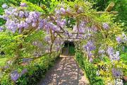 Thumbnail image 5 from Bickleigh Castle