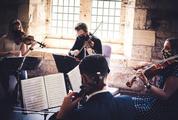 Thumbnail image 4 from Harmony String Quartet