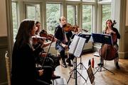 Thumbnail image 6 from Harmony String Quartet