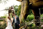 Thumbnail image 2 from West Midlands Safari Park