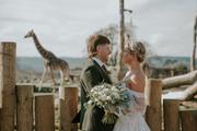Thumbnail image 13 from West Midlands Safari Park