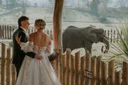 Thumbnail image 15 from West Midlands Safari Park