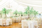Thumbnail image 5 from Chic Weddings & Events