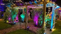 Thumbnail image 6 from Illumination Events