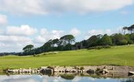 Thumbnail image 18 from Boringdon Park Golf Club