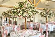 Thumbnail image 15 from Elegant Event Designs