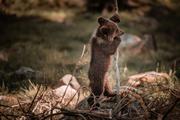Thumbnail image 8 from Dan Hyams - Travel Counsellor