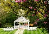 Thumbnail image 3 from Rowhill Grange Hotel