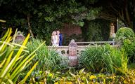 Thumbnail image 16 from Solton Manor