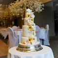 Thumbnail image 3 from Regency Cakes