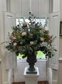 Thumbnail image 5 from Petals and Bows Floristry