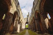 Thumbnail image 1 from Kirkstall Abbey