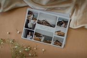 Thumbnail image 3 from Wedprint Pro
