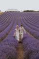 Thumbnail image 5 from Lordington Lavender
