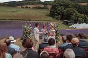 Thumbnail image 9 from Lordington Lavender