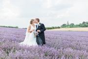 Thumbnail image 12 from Lordington Lavender
